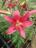 [5347 Gran Tourismo DJ No02.JPG]